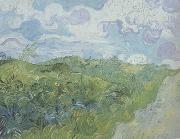 Vincent Van Gogh Green Wheat Fields (nn04) France oil painting artist